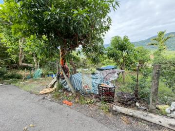 崎仔頭建地 台東農地農舍 台東土地買賣