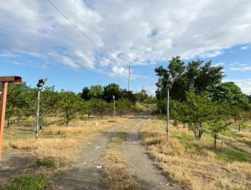 知本一甲餘農地 台東農地農舍 台東土地買賣