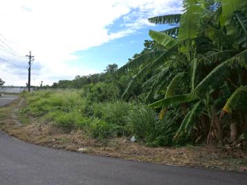 知本建康段農地 台東農地農舍 台東土地買賣