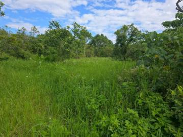 知本青林段農地A 台東農地農舍 台東土地買賣