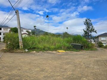 鹿野高台建地 台東農地農舍 台東土地買賣
