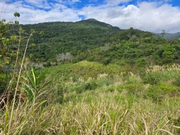 鹿野高台農地-專任 台東農地農舍 台東土地買賣