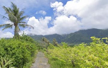 台東優質農地稀有釋出