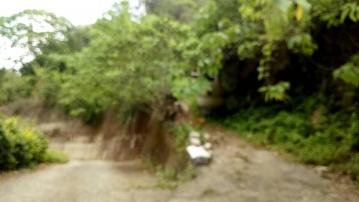 太平頭汴國小頭汴坑段景觀林地台中買屋賣房土地王劉志忠