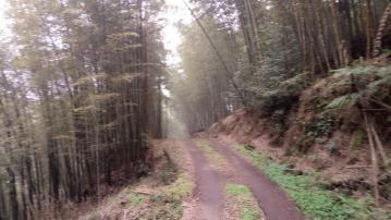 鹿谷杉林溪小半天段羊灣巷景觀地台中買屋賣房,土地王劉志忠,台中北屯捷運 買屋賣房南投土地.南投房屋