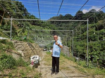 豐原上南坑段有自來水有電農地台中買屋賣房 土地王劉志