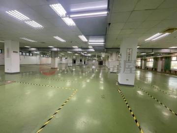 洪圳路廠房