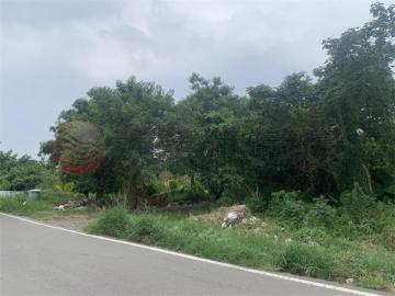 大溪埔頂重劃區旁美農地 (S2426742)