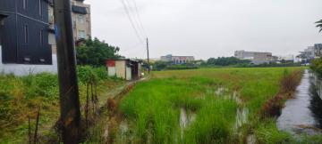 文中段農地(都內田)