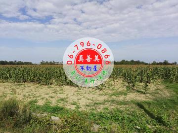 *真善美不動產仲介社* NO.4703 西港3.4分方正農地
