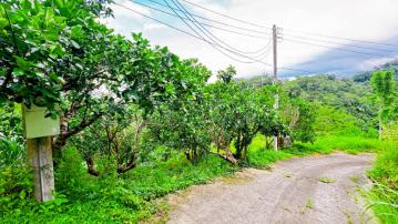 三灣美社區有水電農地C6018-住商頭份中央店