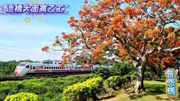 造橋大面寬乙工C0123-住商頭份中央店