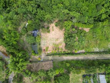 開朗M6植綠休閒地C2560-住商頭份中央店