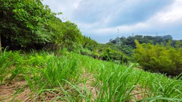 森活原境C0207-住商頭份中央店