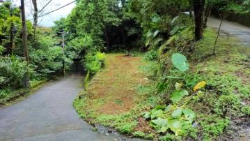 東河水雲間旁休閒地C0447-住商頭份中央店