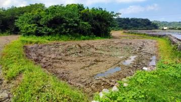 員林南興農牧地C0449-住商頭份中央店