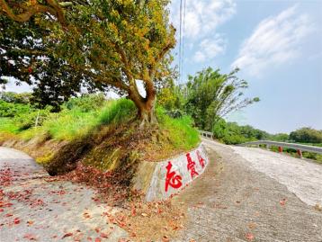 峨眉水流東美農地C6032-住商頭份中央店