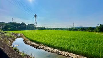 南庄山水和風特農C6308-住商頭份中央店