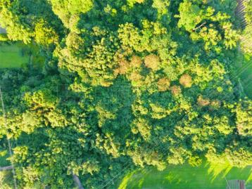 南庄員林段千坪農地C6049-住商頭份中央店