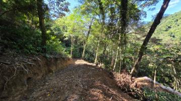 橫山內豐綠地C0237-住商頭份中央店