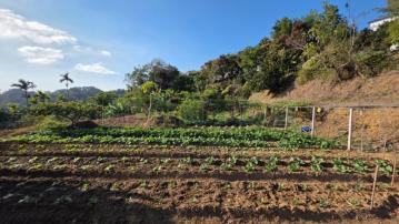 天空農+建綠境地C0214-住商頭份中央店