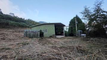 南湖田園農牧用地C0215-住商頭份中央店