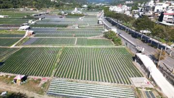 大湖台三線商機農地C0298-住商頭份中央店