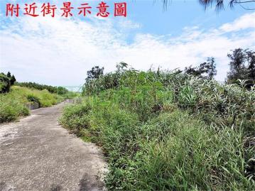夜總會農地C1030-住商頭份中央店