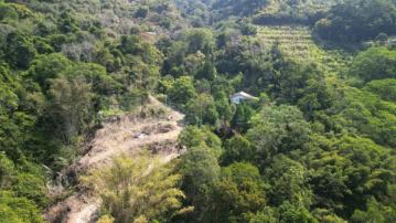 大湖大窩超值農牧地C0264-住商頭份中央店