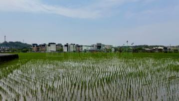 濫坑稻香美農地C3111-住商頭份中央店
