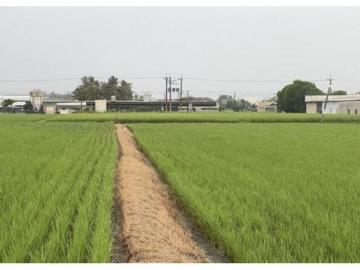 白河區2.5分俗農地