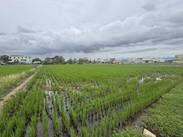 水上三和都計內方正農地