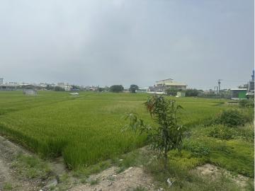 興嘉國小旁三面路都計農地