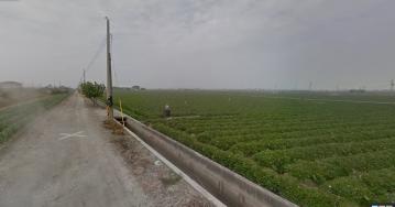 雲林水林俗農地