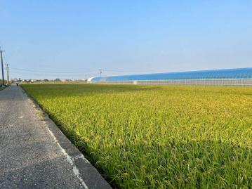太保高鐵旁農地