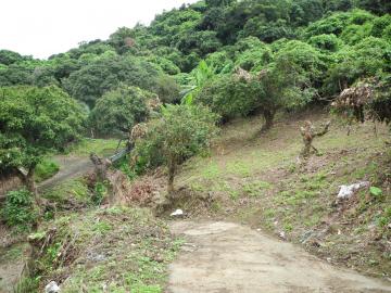 太平買地 太平黃竹坑山坡地