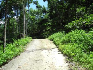 峰谷路山坡地2