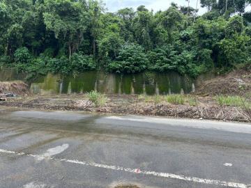 豐原富陽路農建地