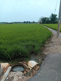 【專簽】二林西庄濁水原野美田 二林房屋土地