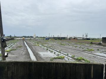 竹塘鹿寮保聖宮3分美田 二林房屋土地
