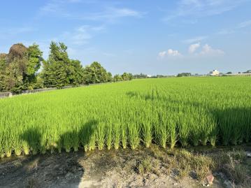 (專)二林東興段1分多農保田 二林房屋土地