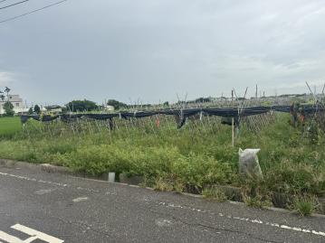 竹塘自強路兩分都內美田2 二林房屋土地