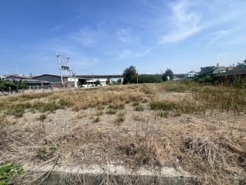 大城61交流道下三面路2分多美田 二林房屋土地