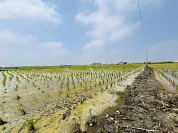 【專簽】二林鎮廣興綠境美田 二林房屋土地