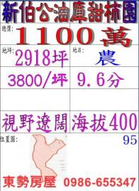 東勢房屋 新伯公油庫甜柿園95