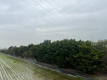 溪洲瓦厝段農地        彰化土地達人