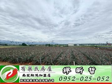 南投買房 南投名間大庄1.64分平坦方正農地