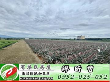 南投買房 南投名間大庄4.47分平坦方正農地