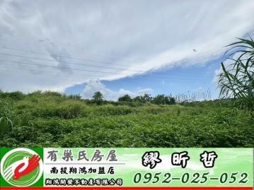 南投買房 南投名間竹圍1甲3車可達平坦農地