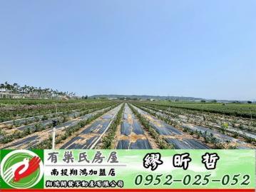 南投買房 名間皮仔寮1.98分方正有路農地